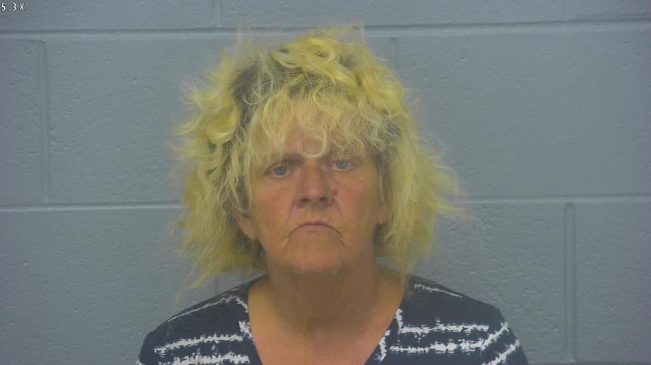 Arrest photo of KAREN  VAN HOTEN